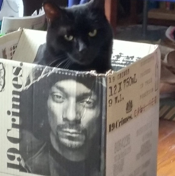 Meet your Posher, Kimberly Dawn - Picture 7 of 10